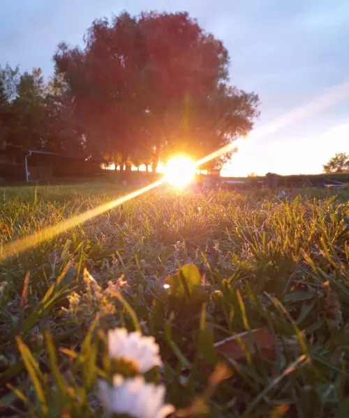 Római-tó - Galéria kép