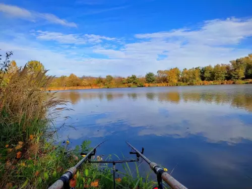 Never Zero Sporthorgásztó - Galéria kép