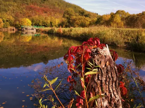 Bodonyi Horgásztó - Galéria kép