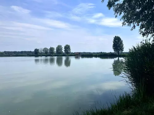 Tokaji Kovács horgásztó - Galéria kép