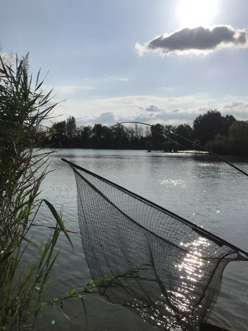 Horgászhely: Sziget Horgásztavak