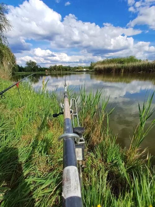 Daru-tó horgászhely képe – Nagyhegyes