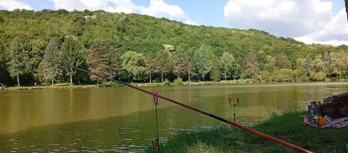 Horgászhely: Csónakázó tó