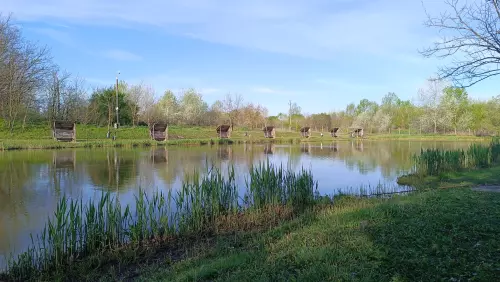 Ordas-tavak - Galéria kép