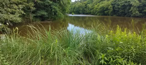 Vadása-tó - Galéria kép