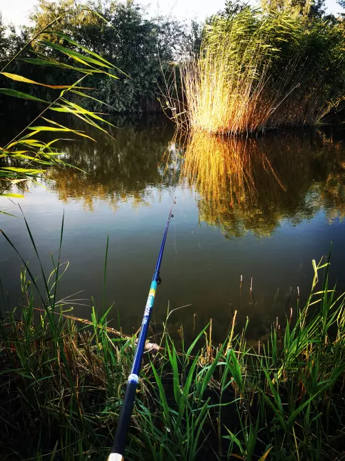 Kékesi-tó - Galéria kép