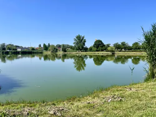 Bujtosi-tó - Galéria kép