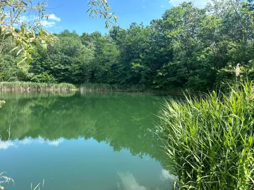 Ormosbányai bányató - Galéria kép
