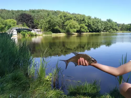 Gedőci-völgyi víztározó - Galéria kép