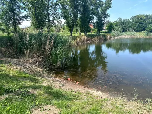 I. sz. bányató - Galéria kép