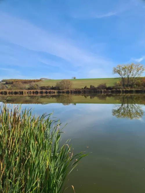Ököritófülpös horgásztó - Galéria kép