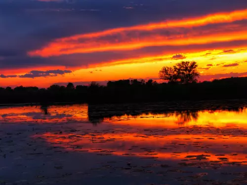 Lipóti Holt-Duna - Galéria kép