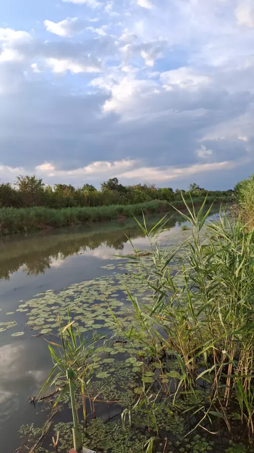 Keleti-főcsatorna - Galéria kép