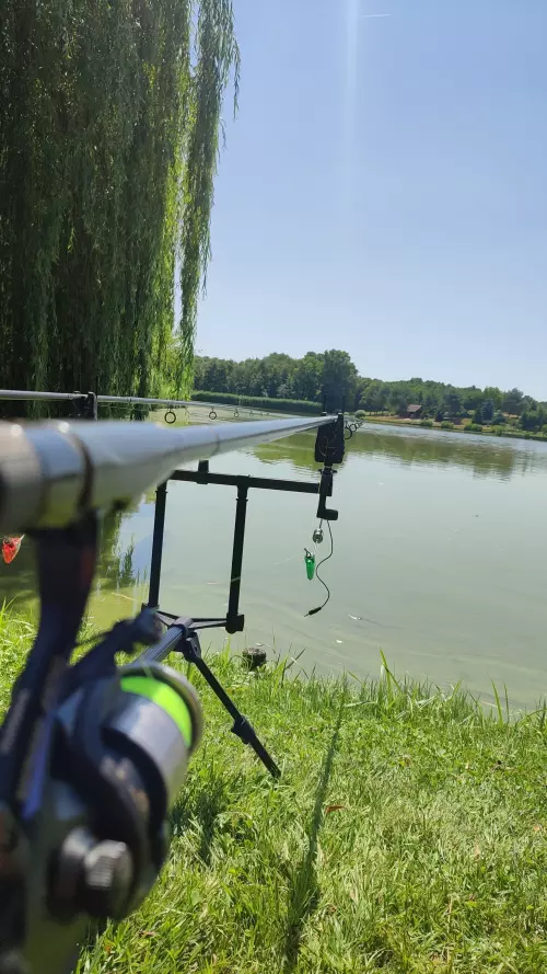 Alerán-tó horgászhely képe – Kadarkút