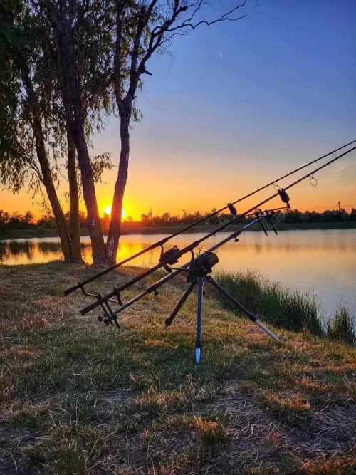 Munkácsy horgásztó - Galéria kép