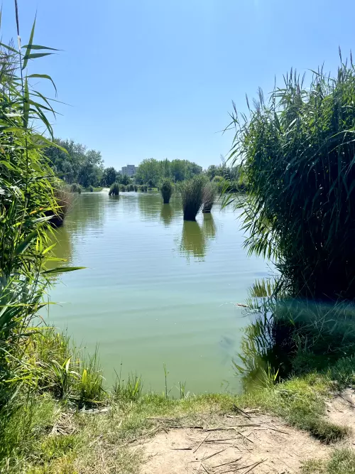 Bujtosi-tó - Galéria kép