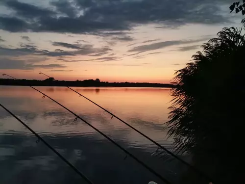 Gulya Carp Lake horgászhely képe – Előszállás