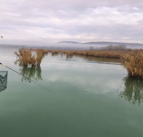 Horgászhely: Balaton, csopaki partszakasz
