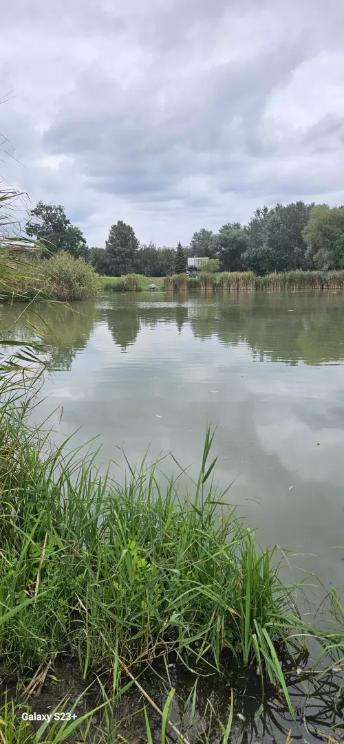 Ordas-tavak horgászhely képe – Csörög