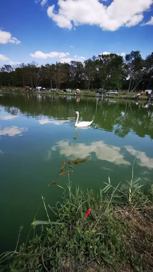 Snake Lake - Galéria kép