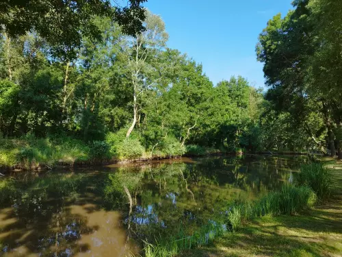 Malom-tó horgásztó horgászhely képe – Albertirsa