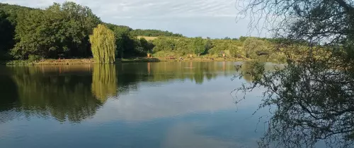 Horgászhely: Nagybörzsönyi horgásztó