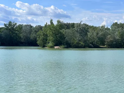 Tolnai-tó - Galéria kép