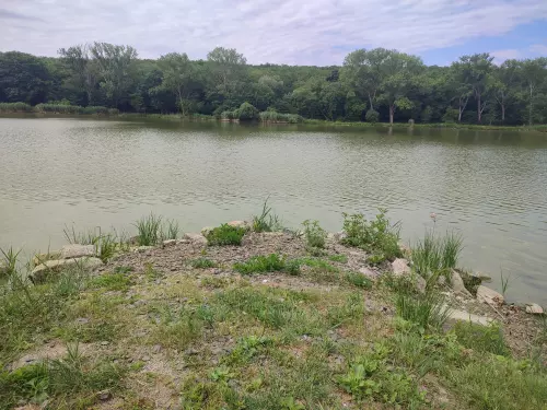 Verpeléti Horgásztó - Galéria kép