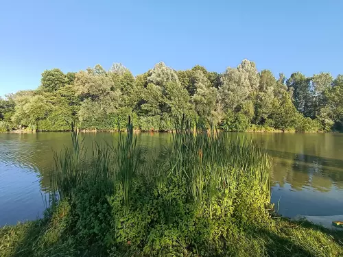 Pilis Gerje Horgásztó - Galéria kép