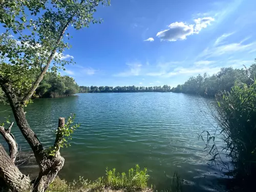 Csécsi-tó - Galéria kép