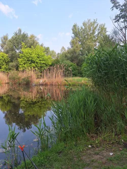 Vincsága horgásztó - Galéria kép