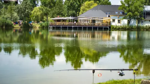 Horgászhely: WF Park horgásztó