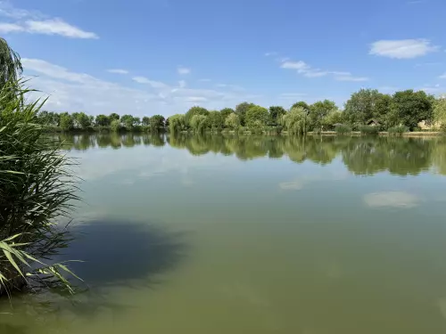 Sáska horgásztó - Galéria kép