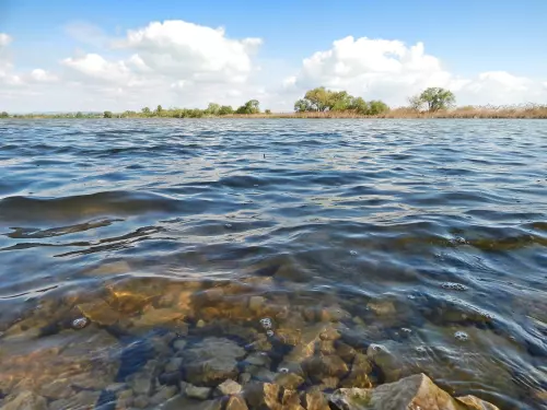 Balatonlellei partszakasz - Galéria kép