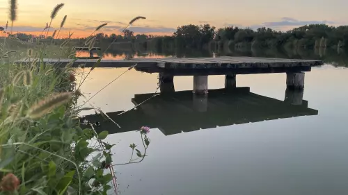 Fűzfás-zugi-holtág - Galéria kép