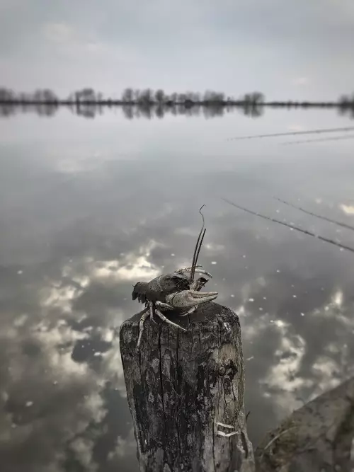 Sajókeresztúri Halastó - Galéria kép