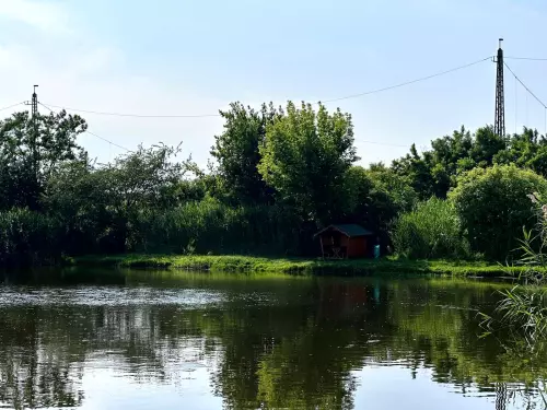 Homokos-tó - Galéria kép