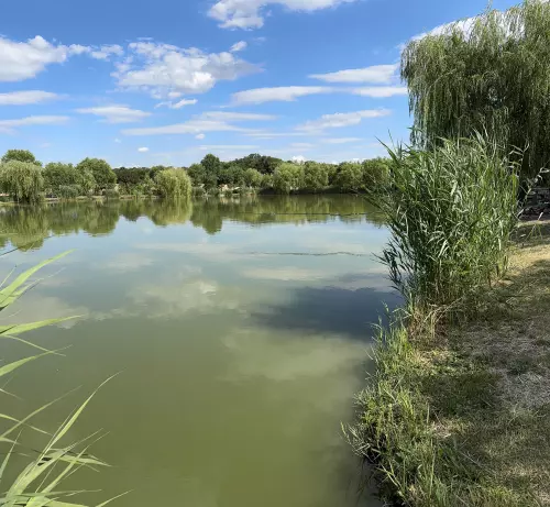 Sáska horgásztó - Galéria kép