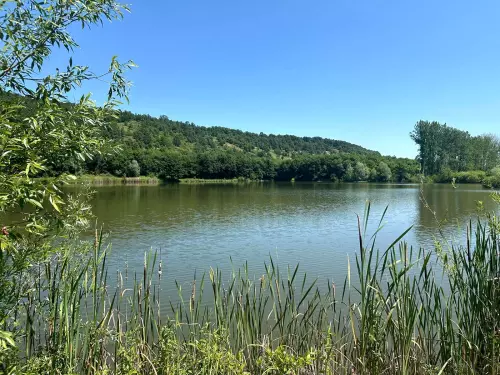 Kondói II. bányató - Galéria kép