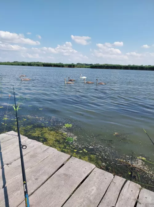 Poroszló horgászhelyek - Galéria kép