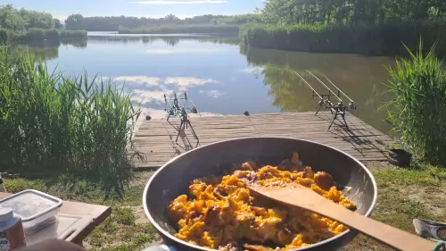 Őzetanya - Galéria kép