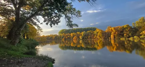 Horgászhely: Mártélyi Tisza-holtág