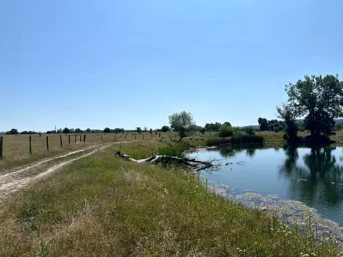 Szelesaknai horgásztavak - Galéria kép