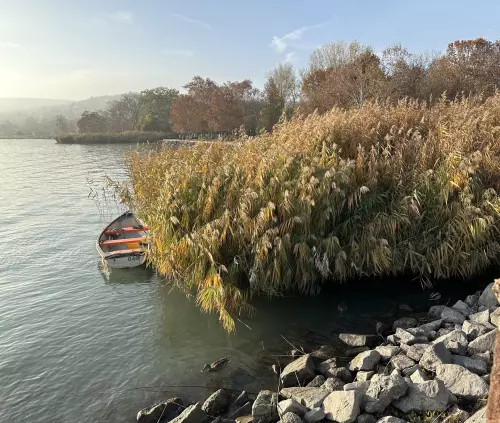 Balatonalmádi partszakasz - Galéria kép