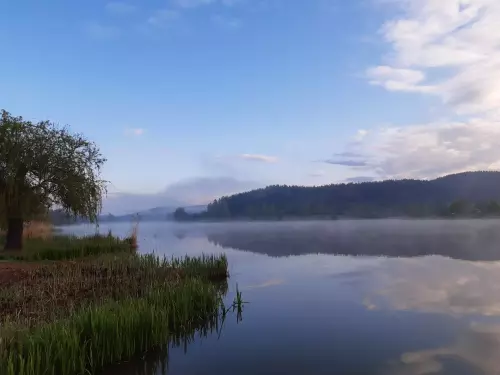 Horgászhely: Búzásvölgyi  Víztározó