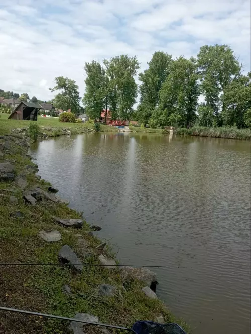 Surdi parktó - Galéria kép