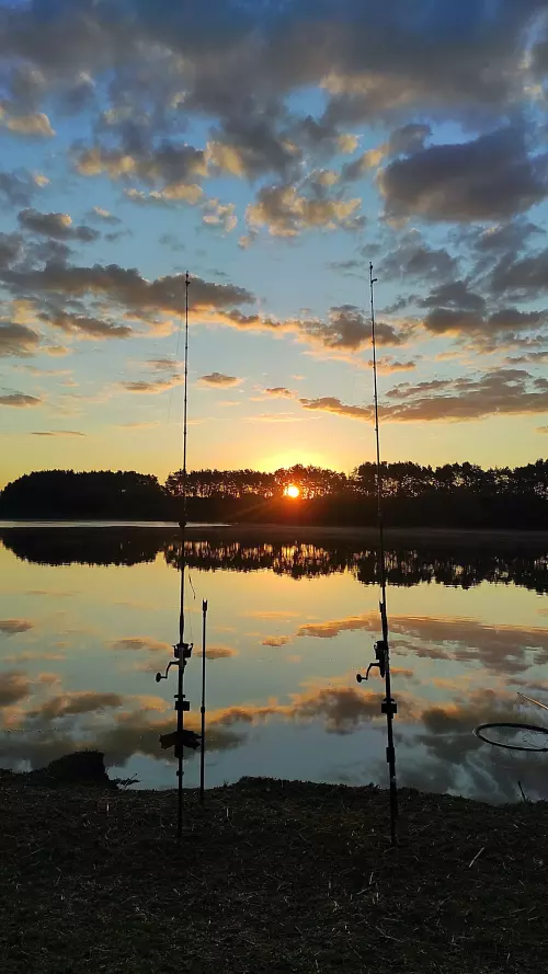 Halyagosi Horgásztó - Galéria kép