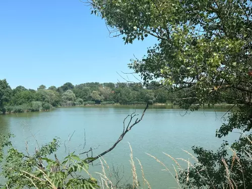 Szirmabesenyői kavicsbányatavak - Galéria kép