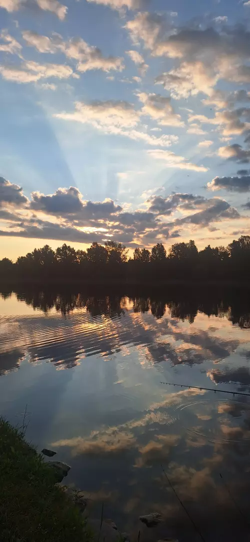 Dunakeszi Horgásztó - Galéria kép