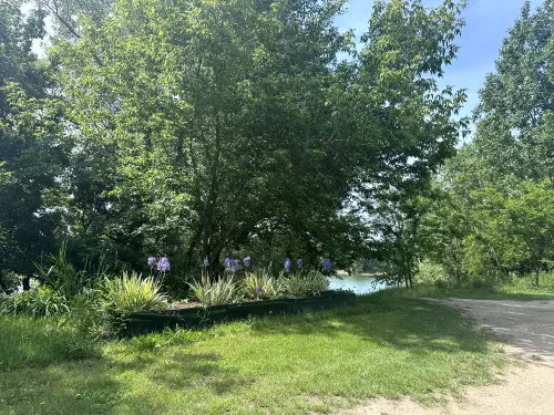 Bőcsi kavicsbányató - Galéria kép